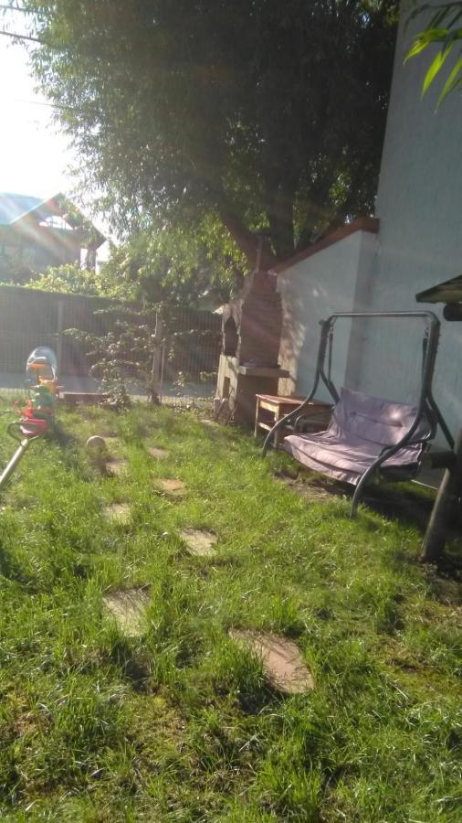 Vila Stefan Pescarusului Costinesti Buitenkant foto