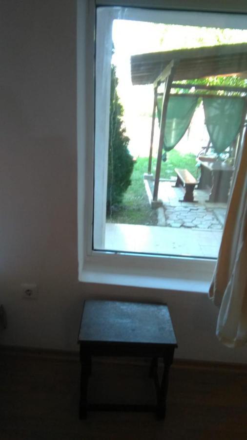 Vila Stefan Pescarusului Costinesti Buitenkant foto